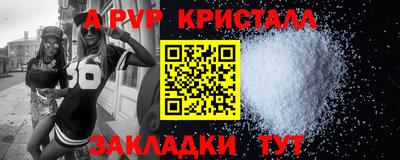 спайс Берёзовский