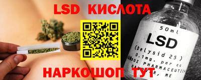 спайс Берёзовский