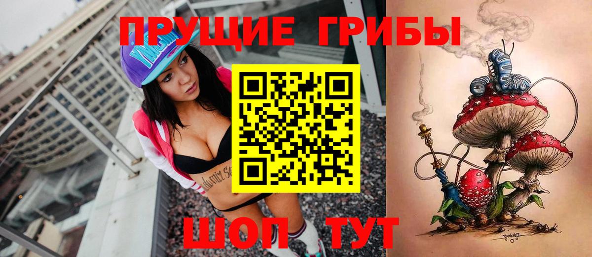 Губаха  Галлюциногенные грибы Psilocybine cubensis  Вход с VPN  Галлюциногенные грибы мицелий 