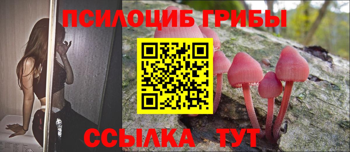 Псилоцибиновые грибы ЛСД Губаха